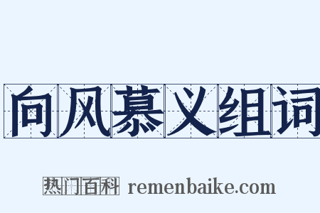 向风慕义组词是什么意思的图片